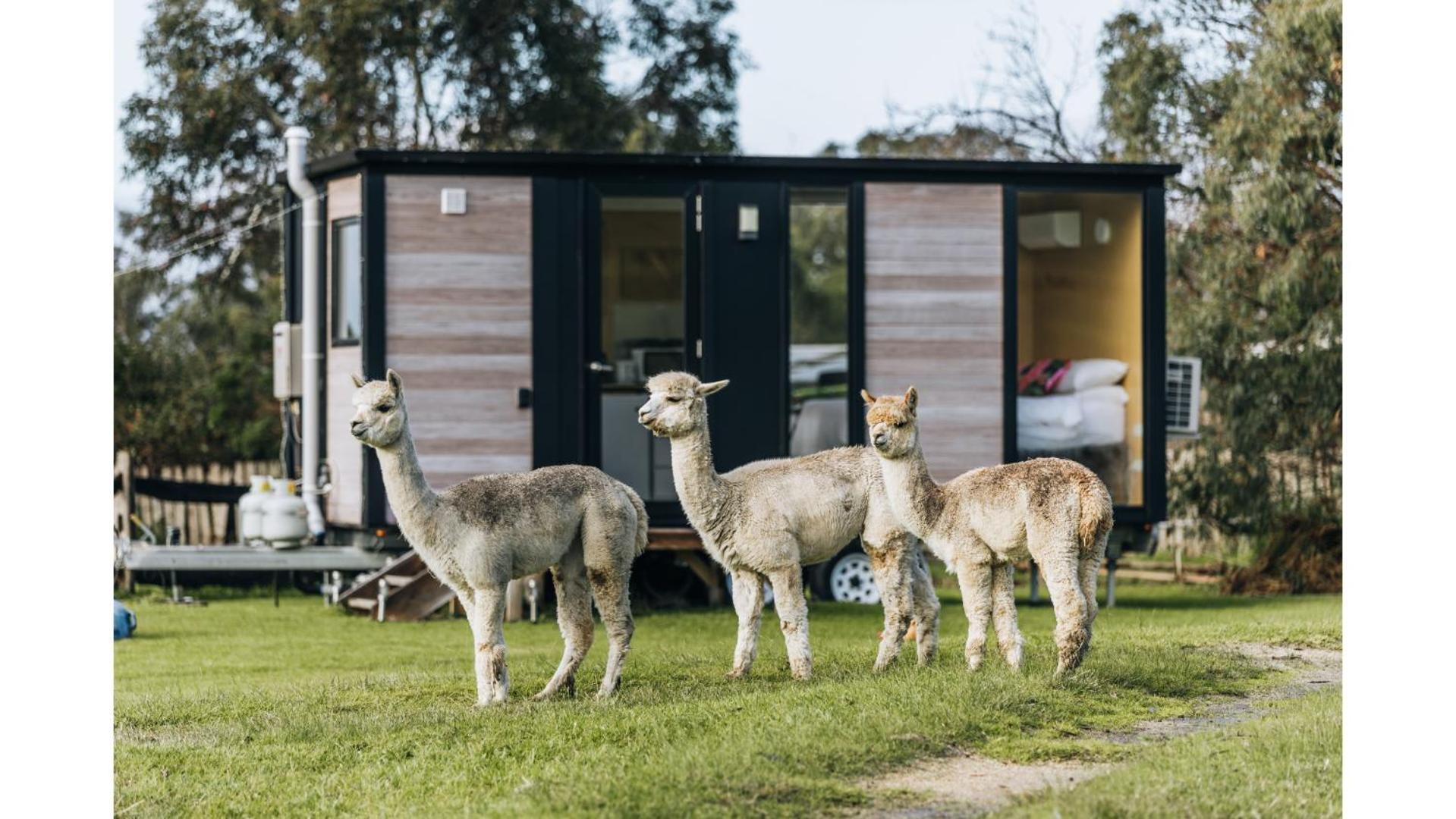 Bush Retreat 1 By Tiny Away Villa Alberton West Exteriör bild